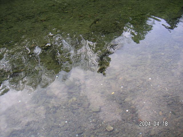 s_PICT0024.jpg